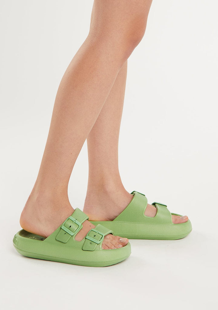 Bloomer Bio Olive X D.Franklin