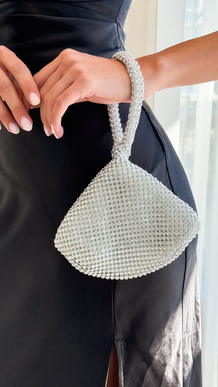 Delawear Silver Bag