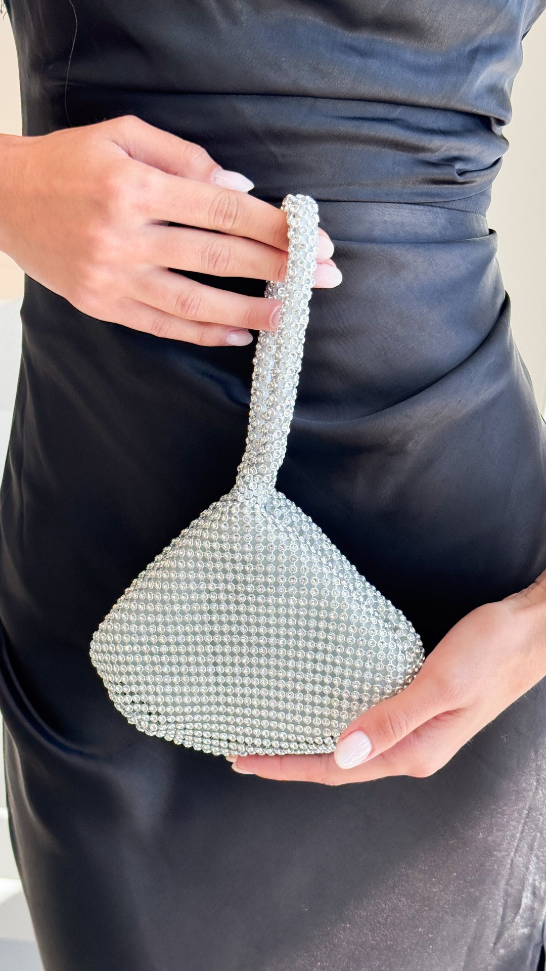Delawear Silver Bag