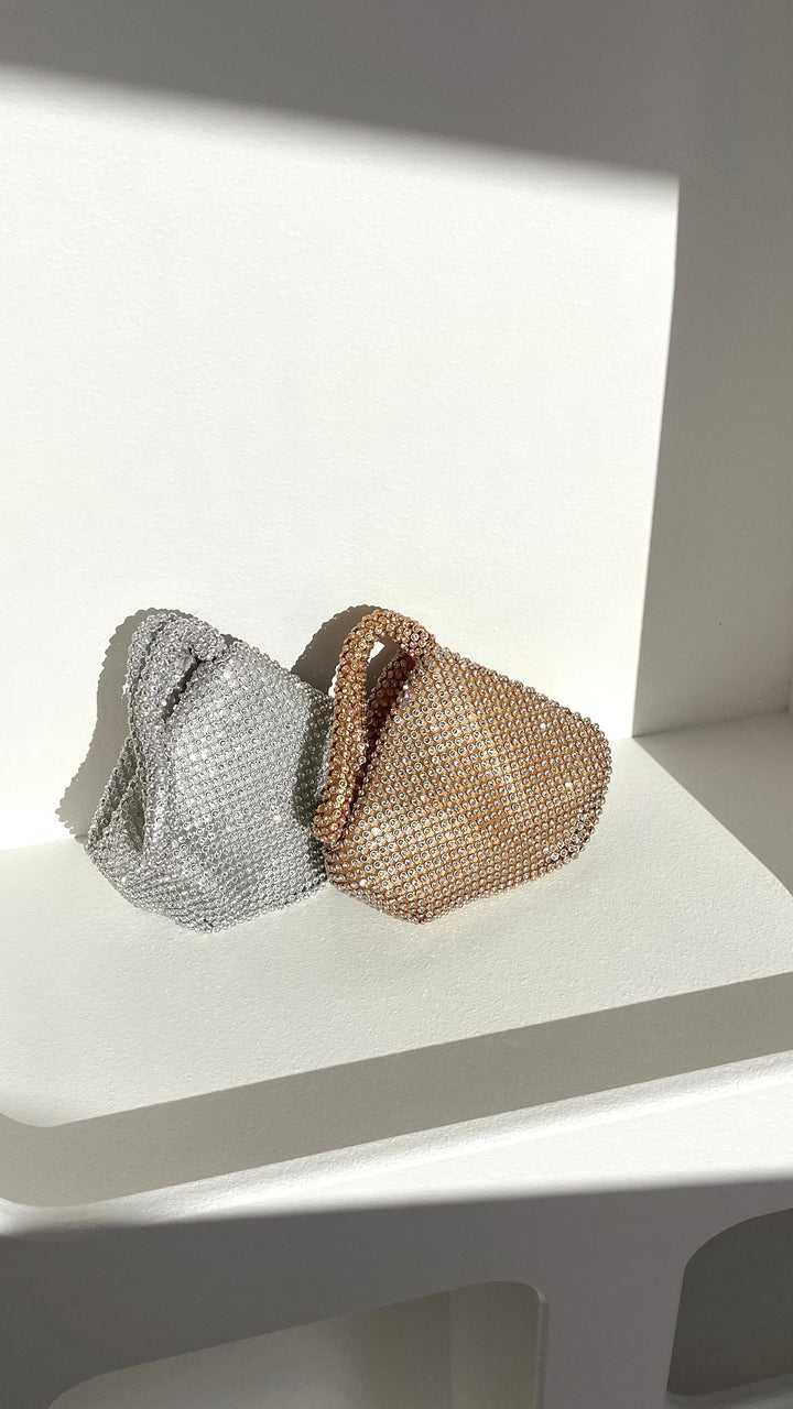 Delawear Silver Bag