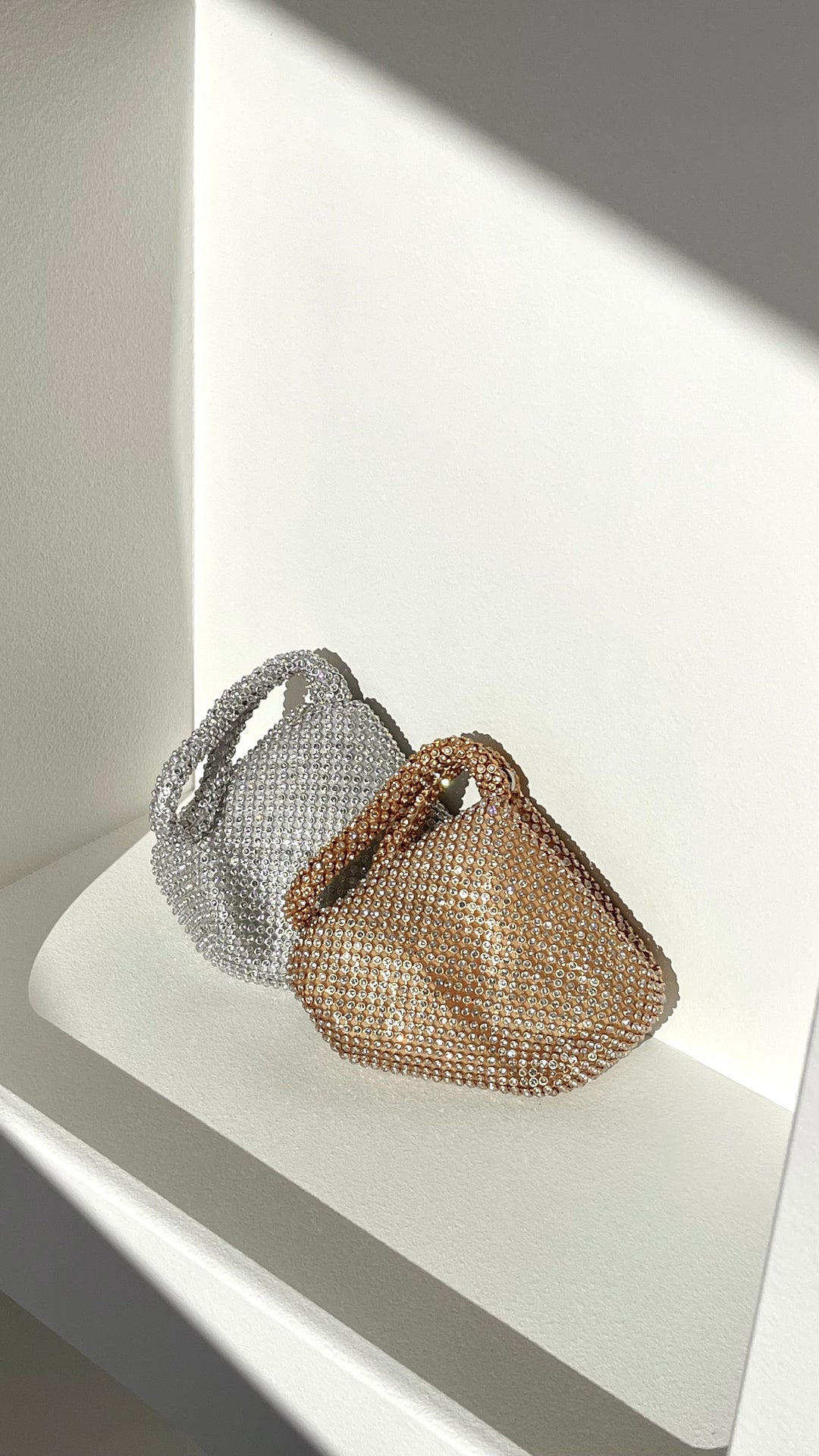 Delawear Silver Bag