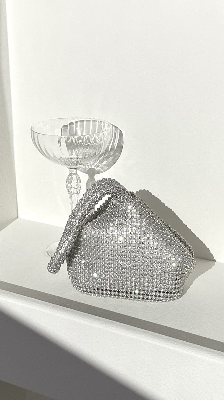 Delawear Silver Bag