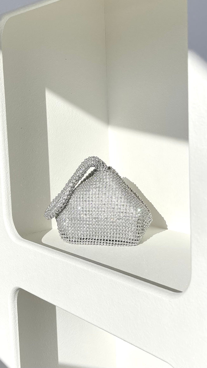 Delawear Silver Bag