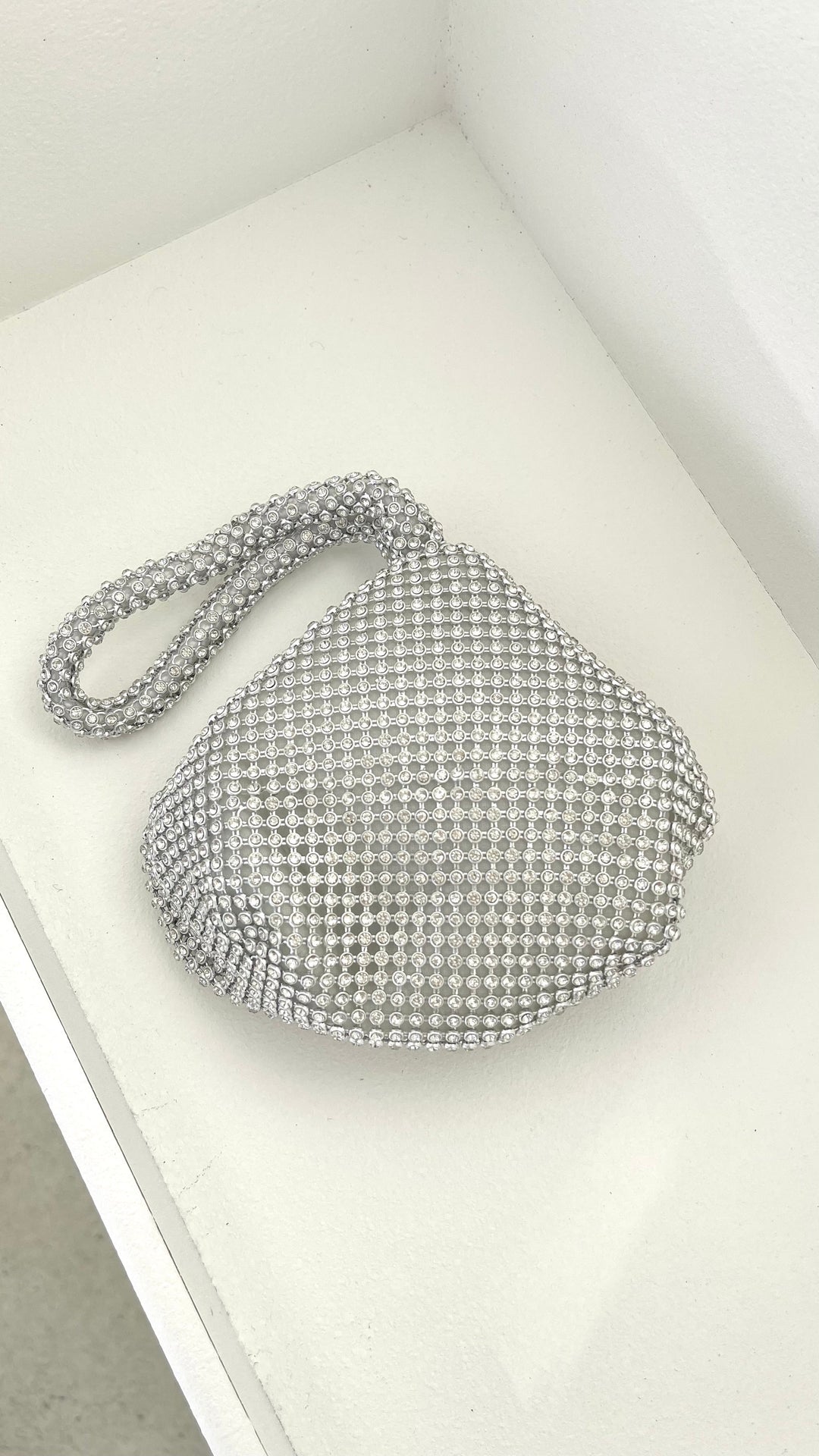 Delawear Silver Bag