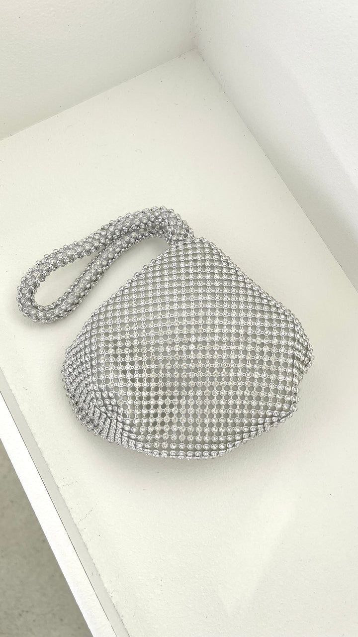 Delawear Silver Bag