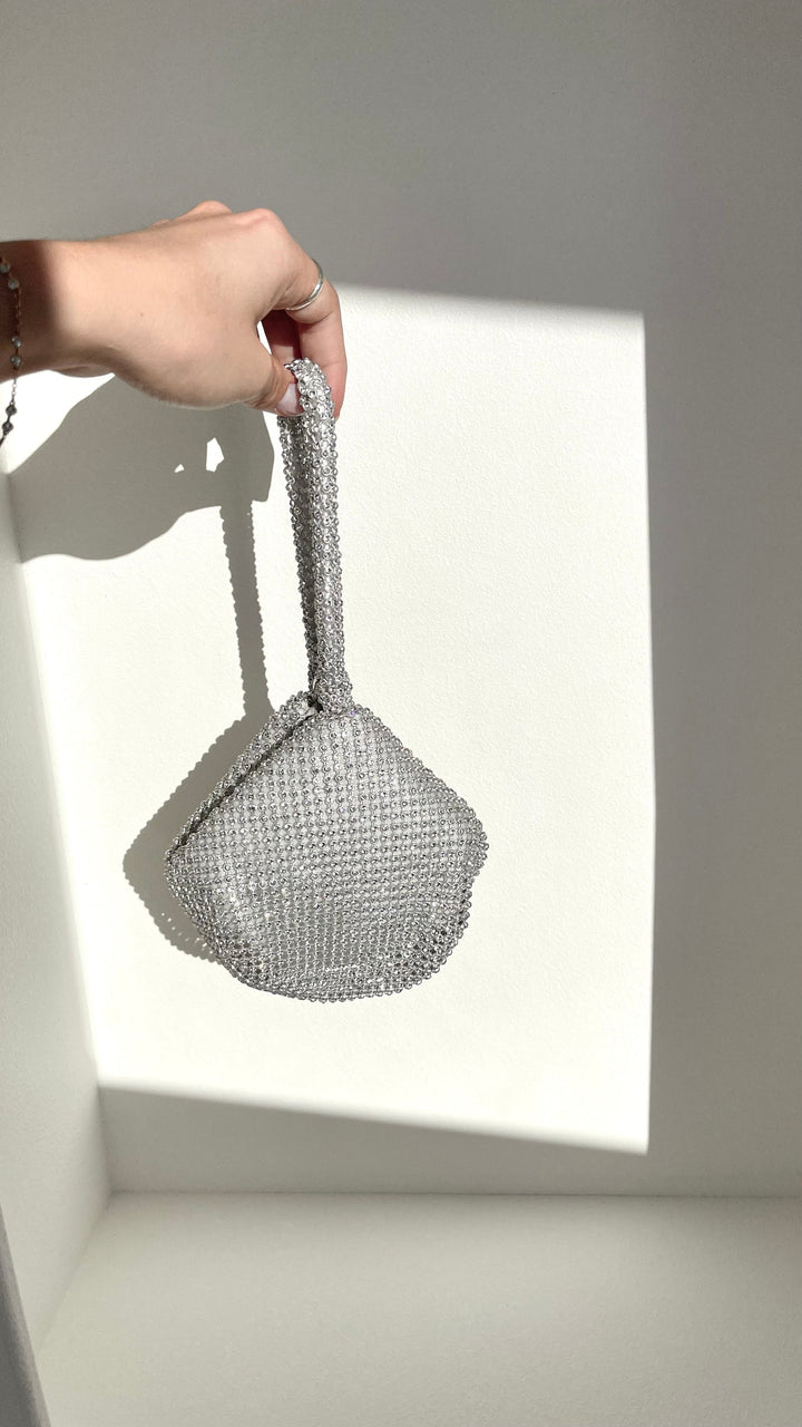 Delawear Silver Bag
